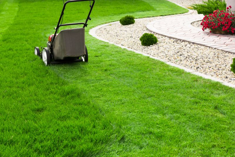 Healthy Lawn After Mowing
