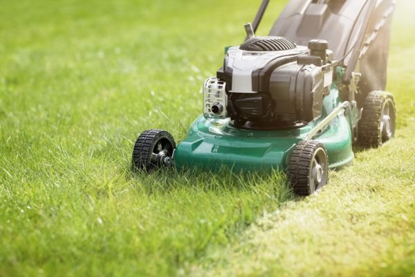 Yard Cutting in Clermont