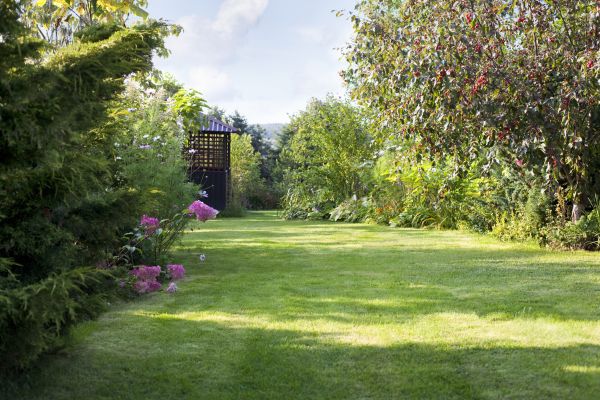 Yard Upkeep Service in Clermont