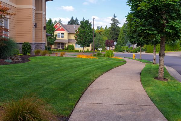 Home Lawn Maintenance in Clermont