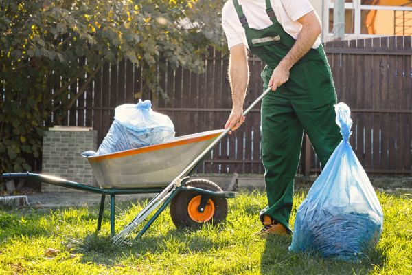 Yard Cleaning in Clermont