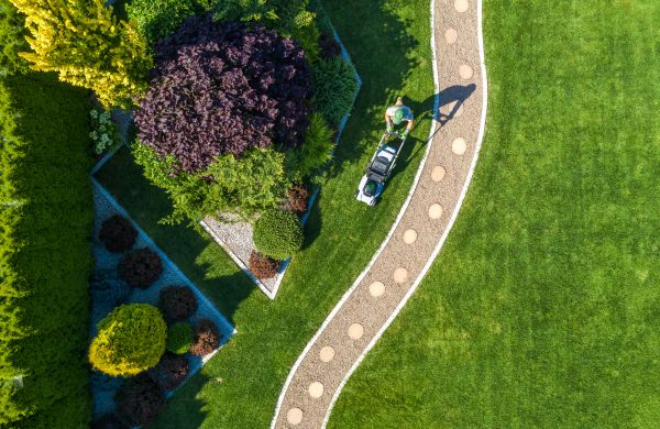 Mowing And Landscaping in Clermont