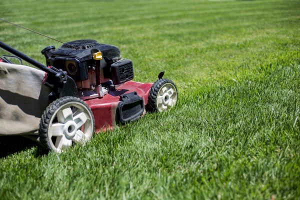 Routine Lawn Care in Clermont
