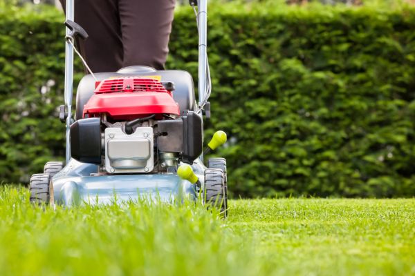 Grass Trimming Service in Clermont