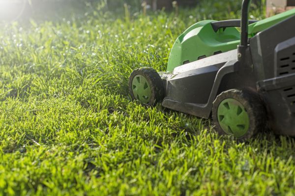 Yard Trimming in Clermont