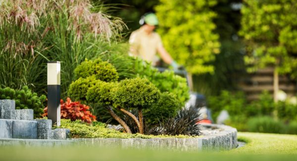 Residential Yard Maintenance in Clermont