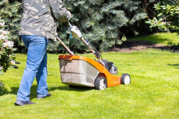 Springtime Lawn Care in Clermont