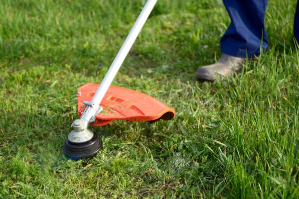 Lawn Weed Whacking in Clermont